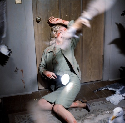 群鸟剧照的剧照