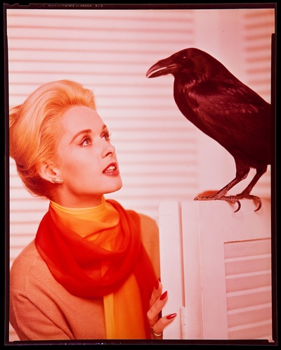 群鸟剧照的剧照