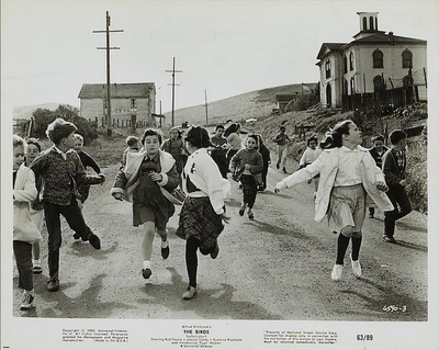 群鸟剧照的剧照