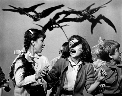 群鸟剧照的剧照