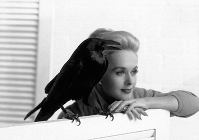 群鸟剧照的剧照