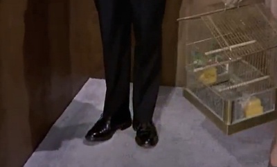 群鸟剧照的剧照