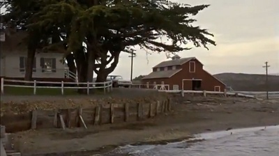 群鸟剧照的剧照