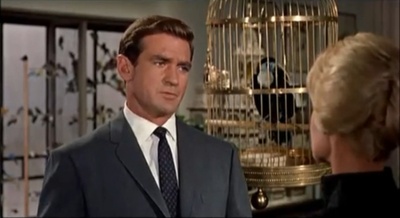 群鸟剧照的剧照