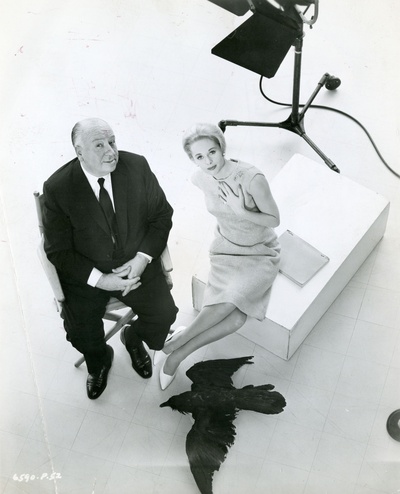 群鸟剧照的剧照