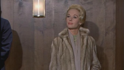 群鸟剧照的剧照