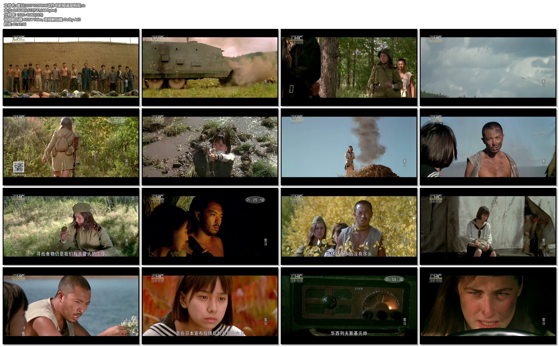 紫日剧照的剧照