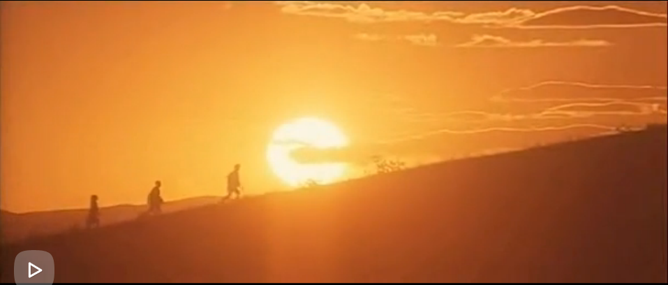 紫日剧照的剧照