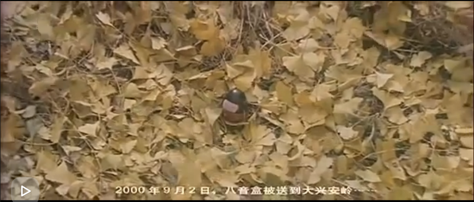 紫日剧照的剧照