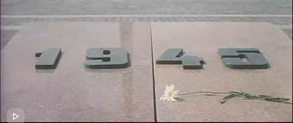 紫日剧照的剧照