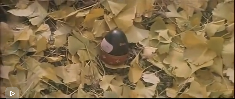 紫日剧照的剧照