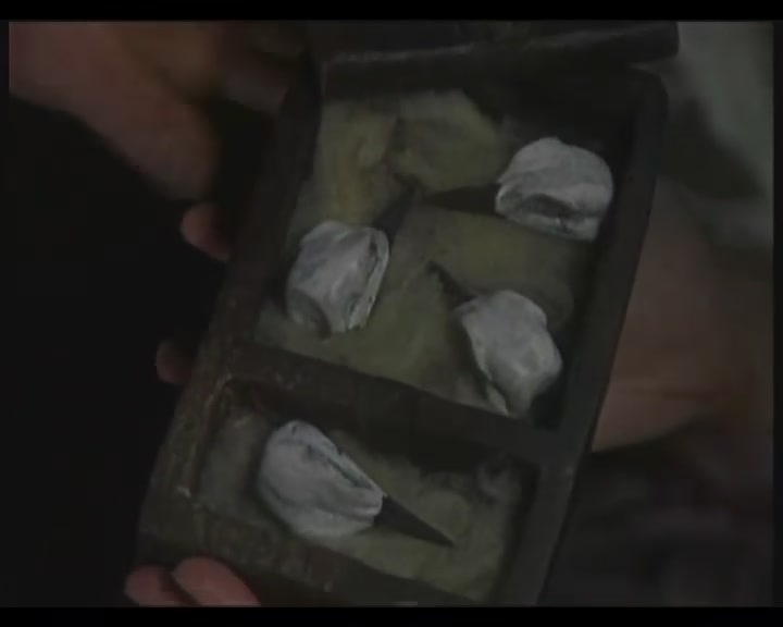 呼啸山庄剧照的剧照