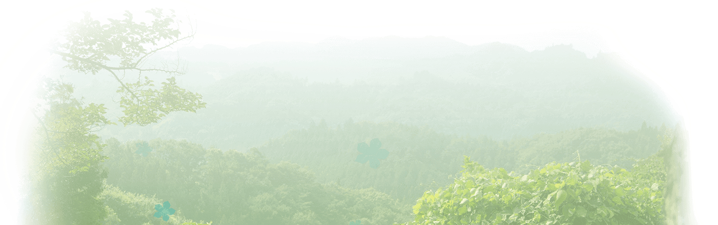 我们仍未知道那天所看见的花的名字剧照的剧照