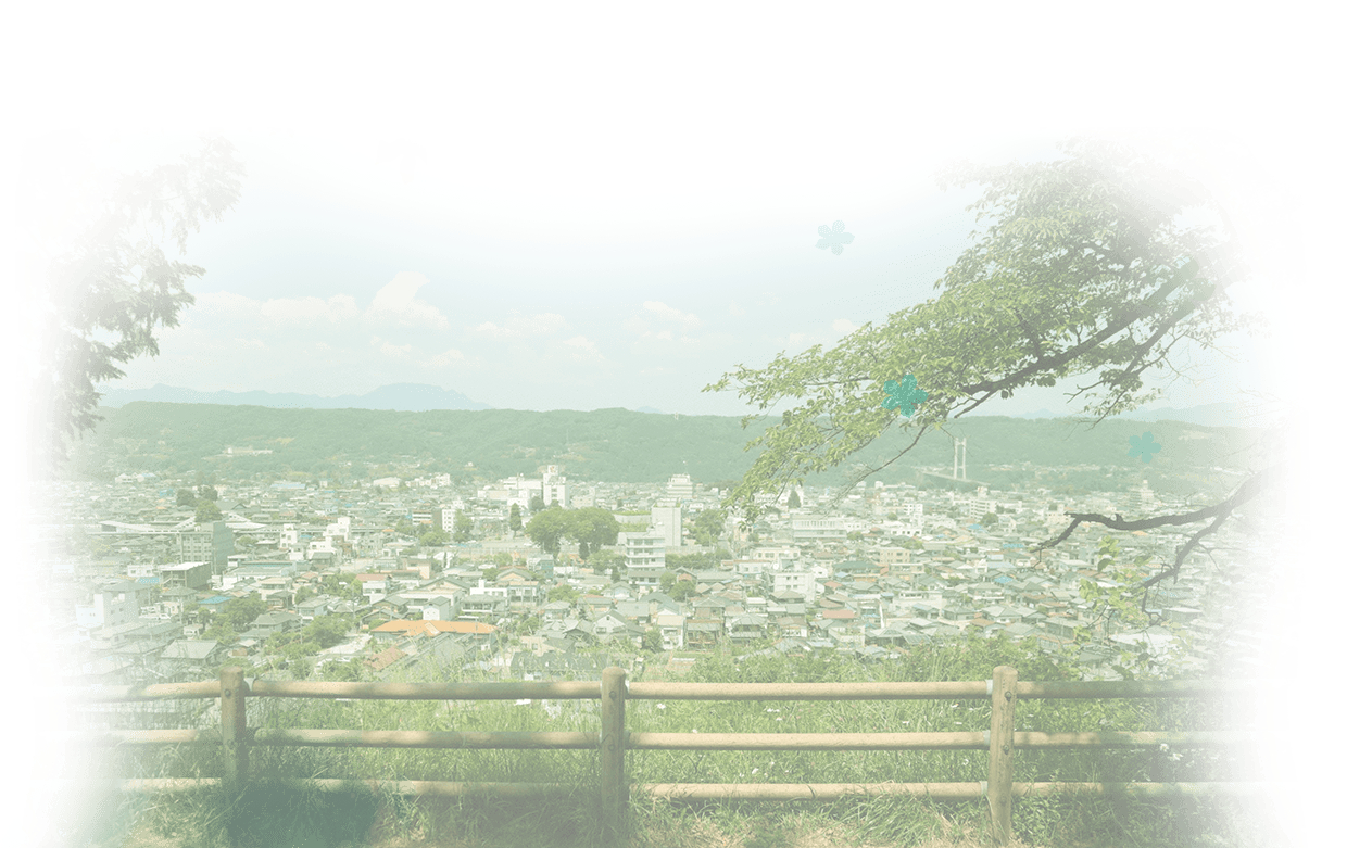 我们仍未知道那天所看见的花的名字剧照的剧照