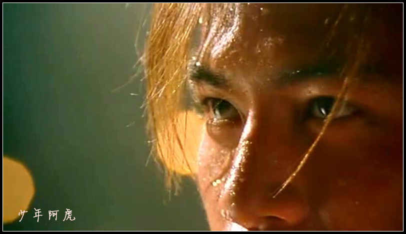 少年阿虎剧照的剧照