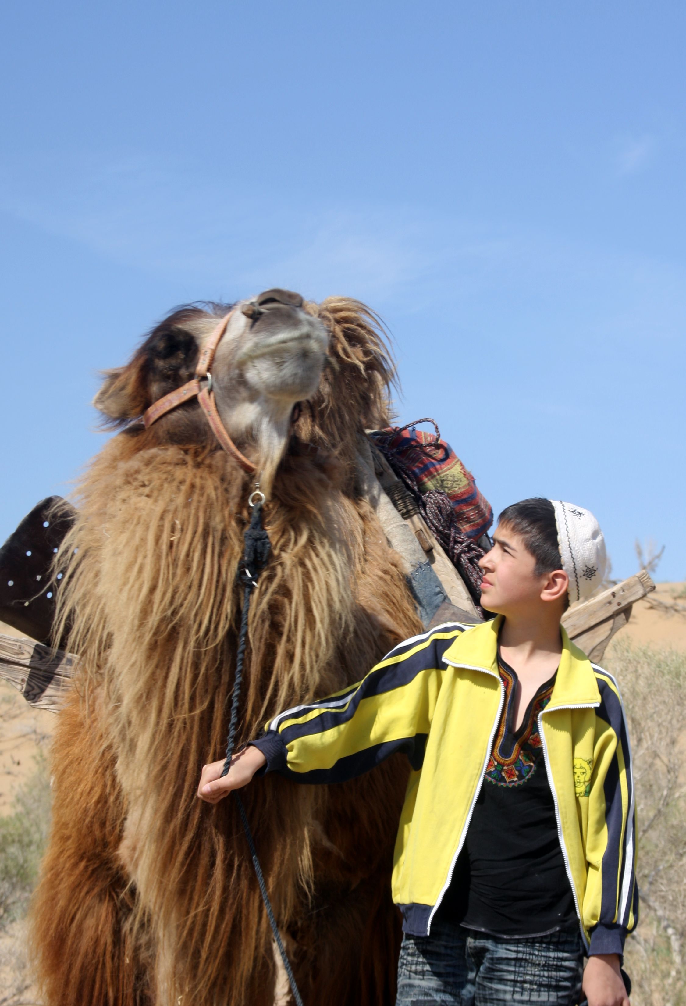 爱无疆剧照的剧照