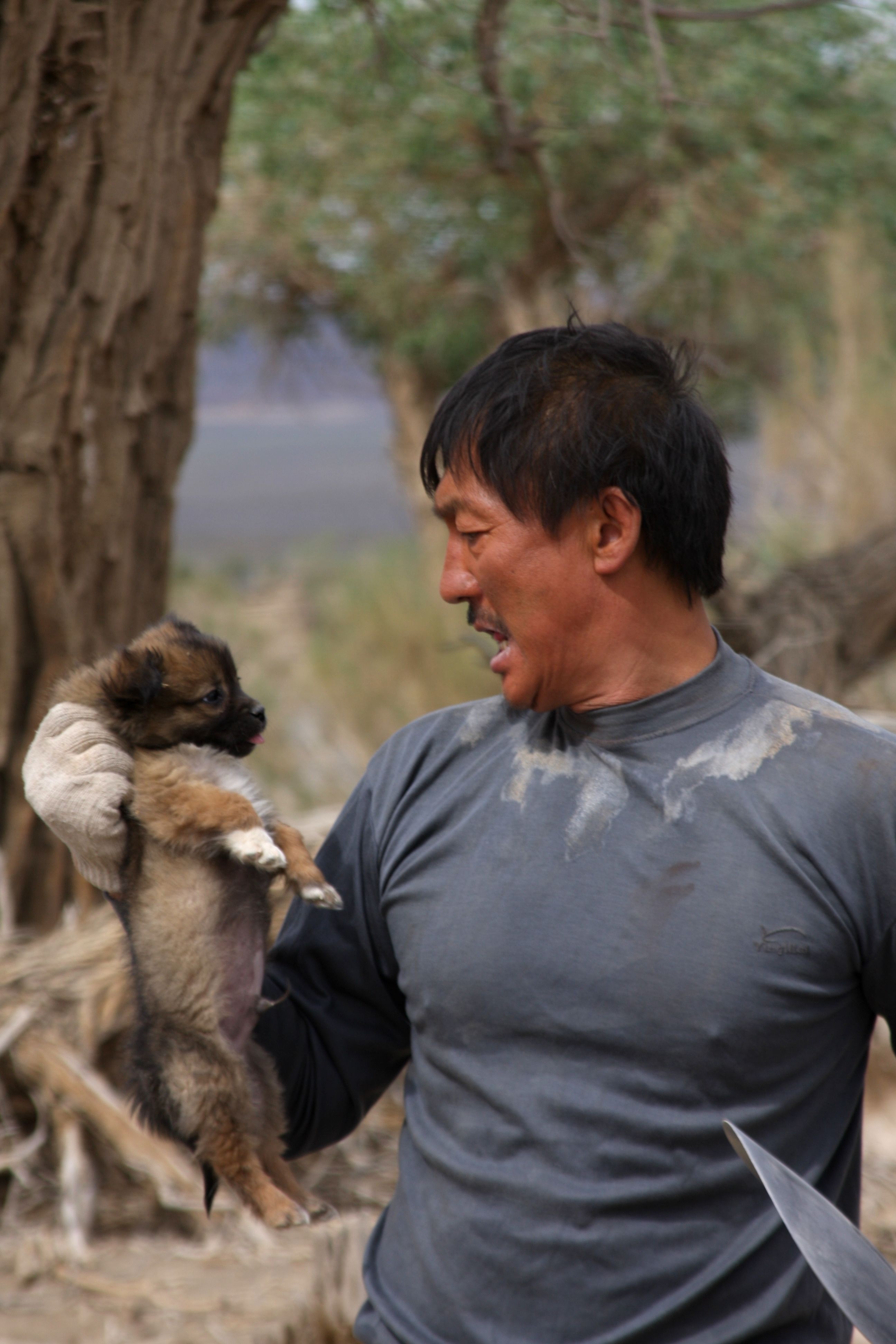 爱无疆剧照的剧照