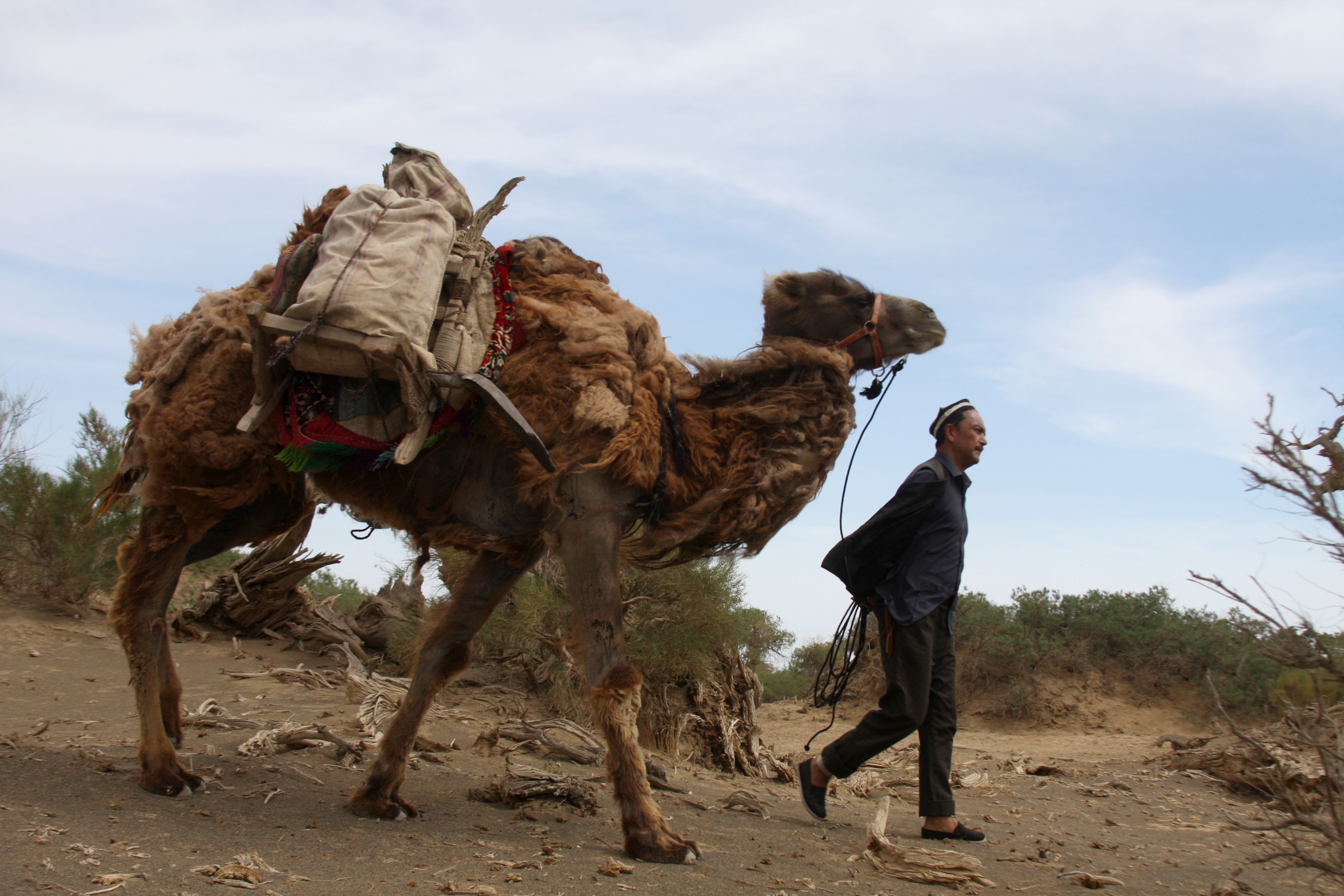 爱无疆剧照的剧照