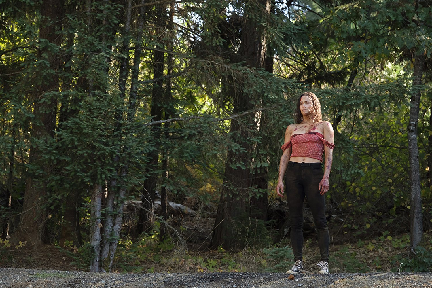 假期惊魂剧照的剧照