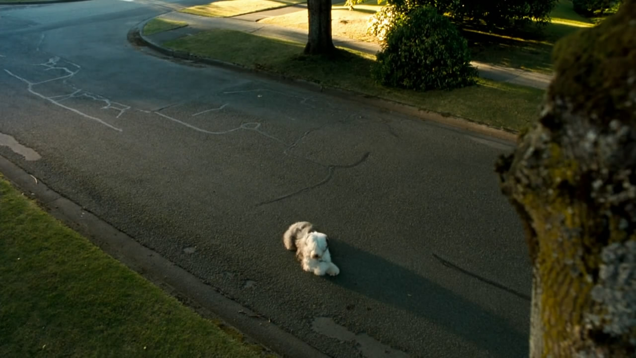 猫狗大战剧照的剧照