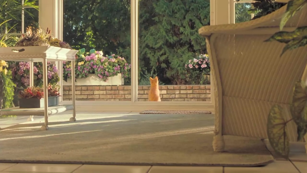 猫狗大战剧照的剧照