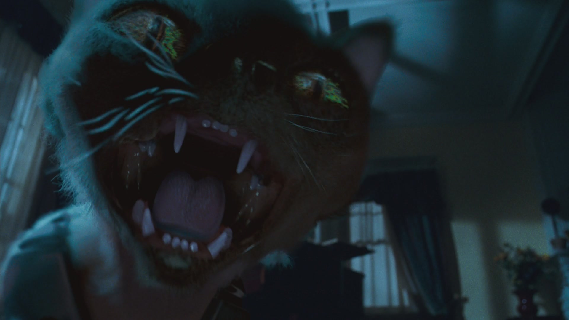 猫狗大战剧照的剧照