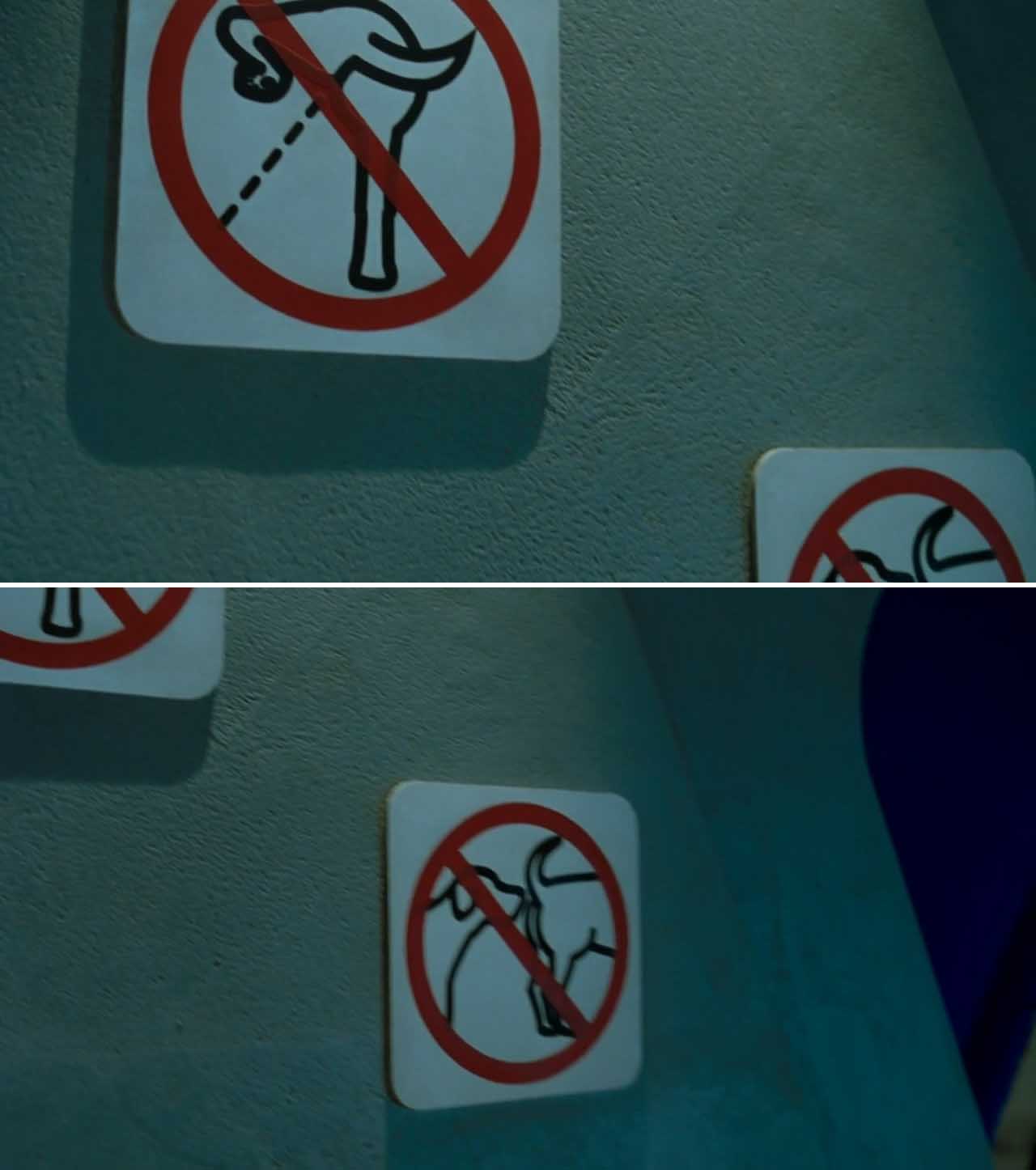 猫狗大战剧照的剧照