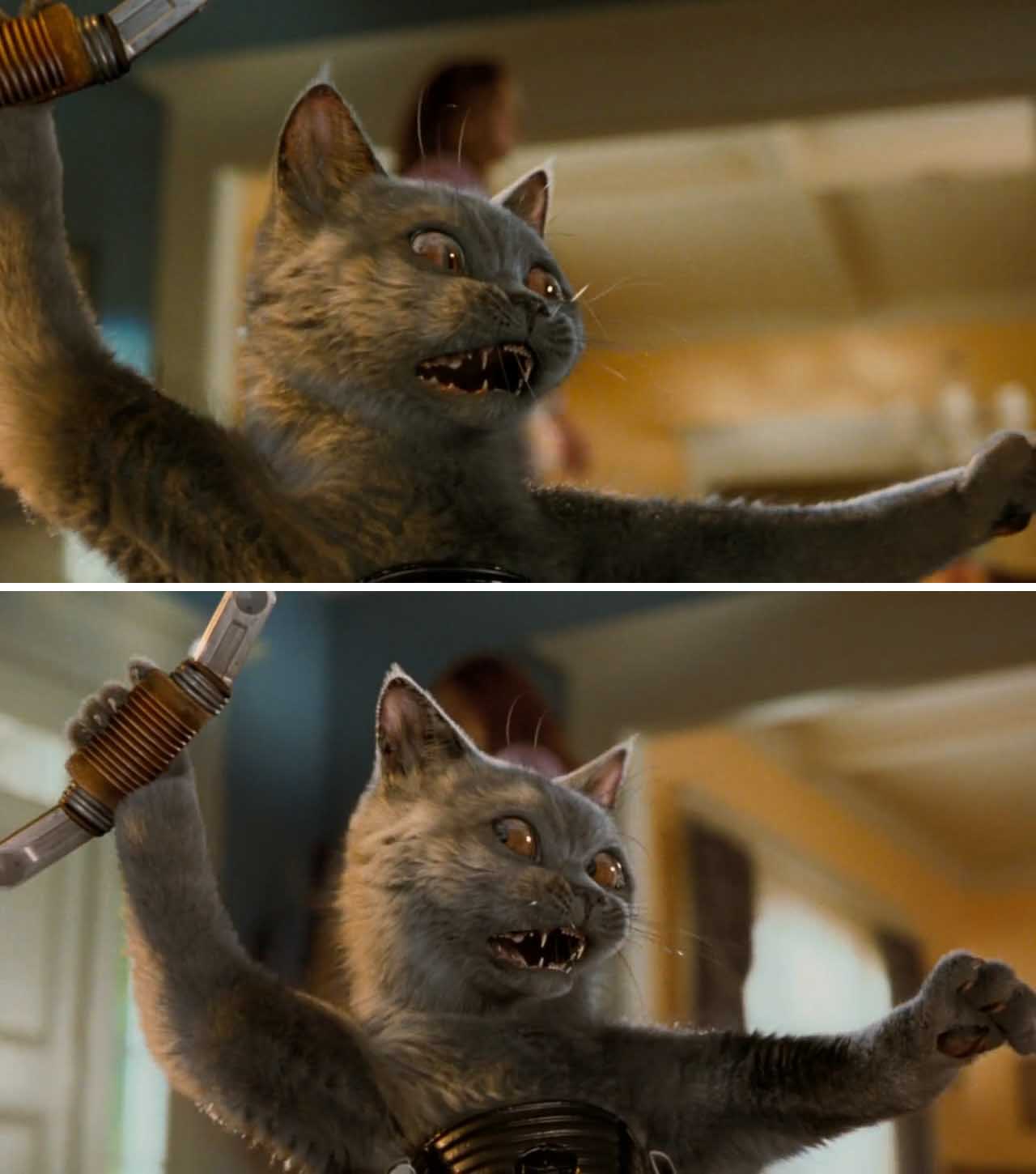 猫狗大战剧照的剧照