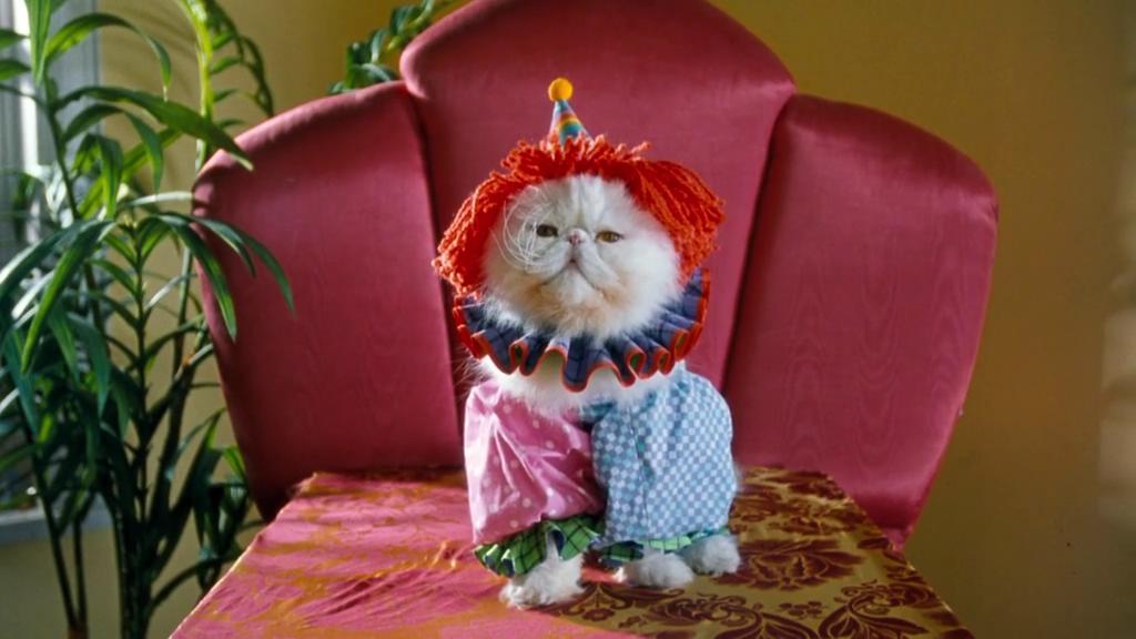 猫狗大战剧照的剧照