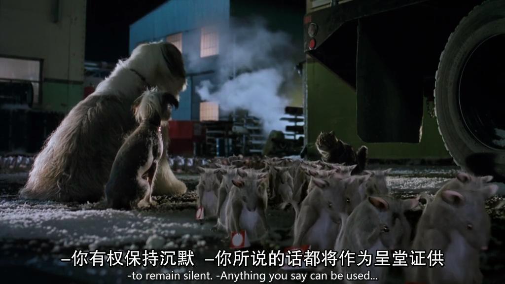 猫狗大战剧照的剧照