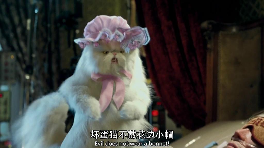 猫狗大战剧照的剧照