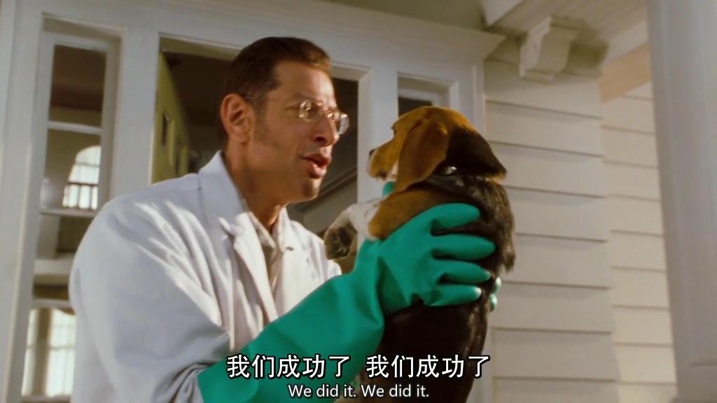 猫狗大战剧照的剧照