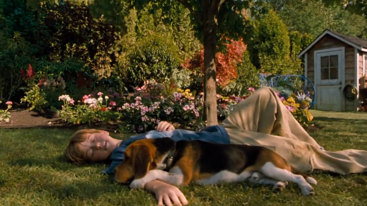 猫狗大战剧照的剧照