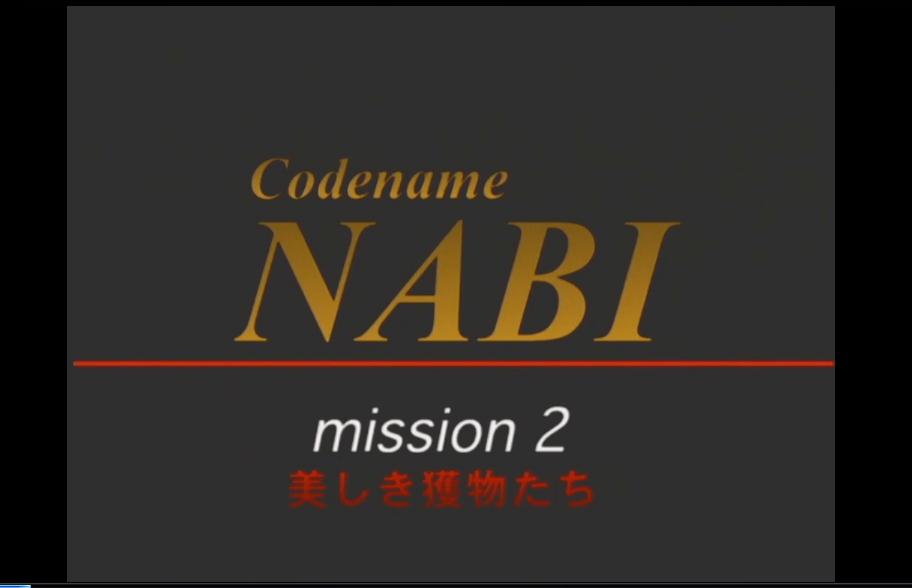 CODENAME NABI  Mission 2：美しき獲物たち剧照的剧照