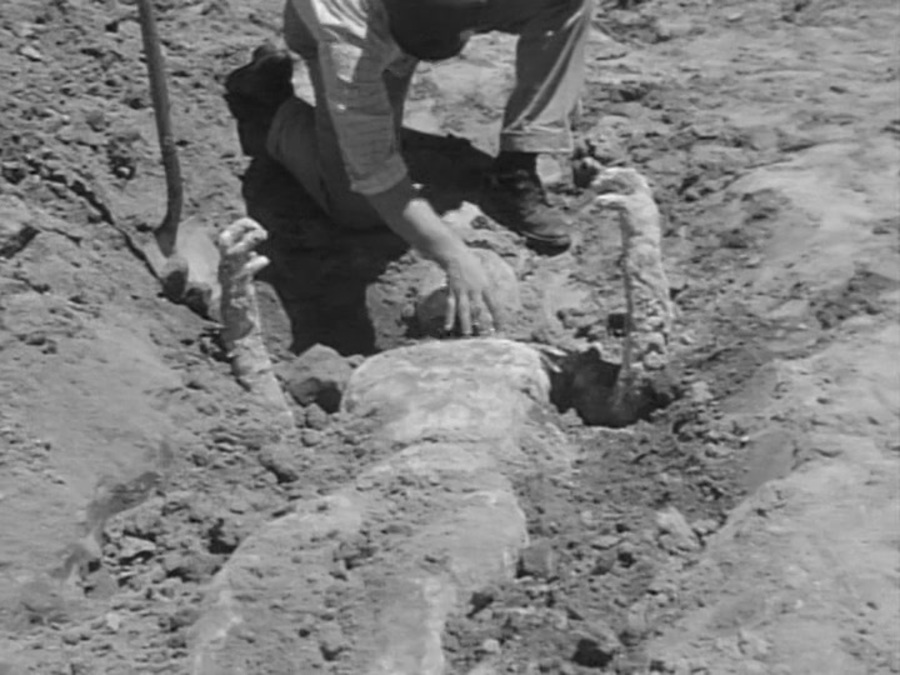 无脸男的诅咒剧照的剧照