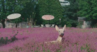 制造伍德斯托克音乐节剧照的剧照