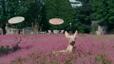 制造伍德斯托克音乐节剧照的剧照