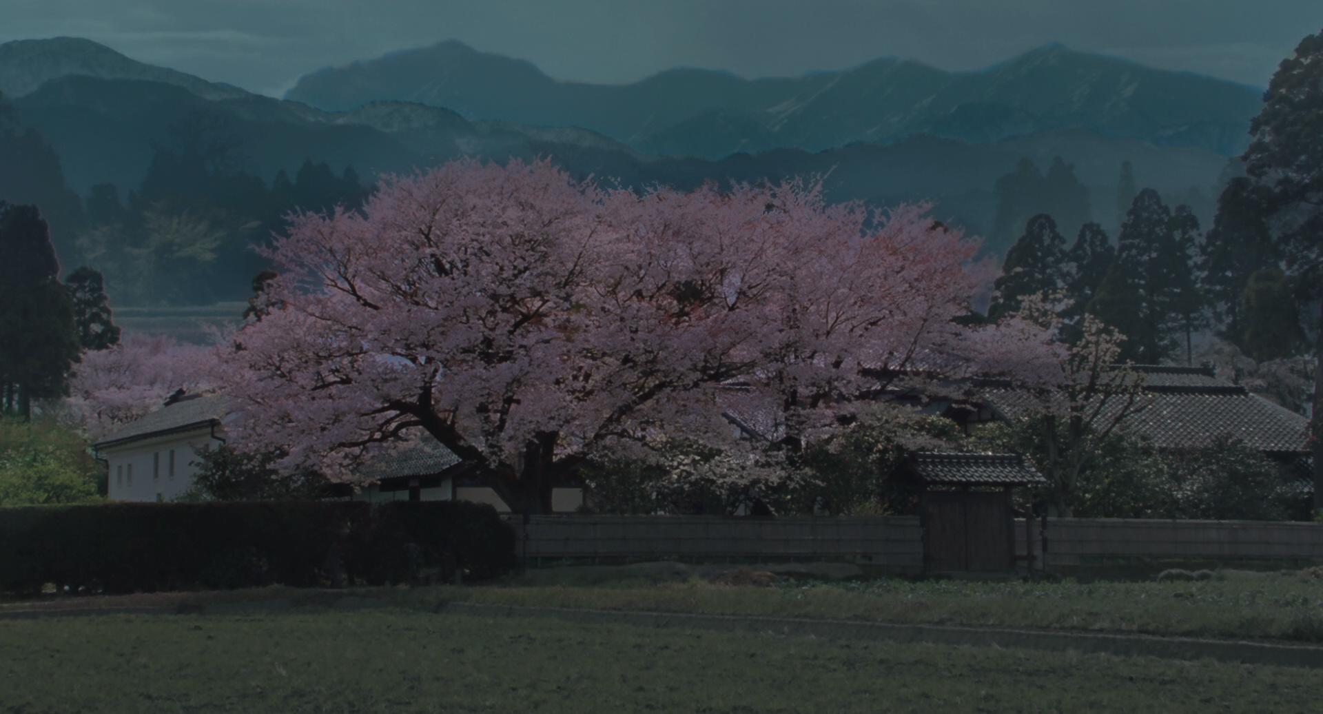 背负春天剧照的剧照