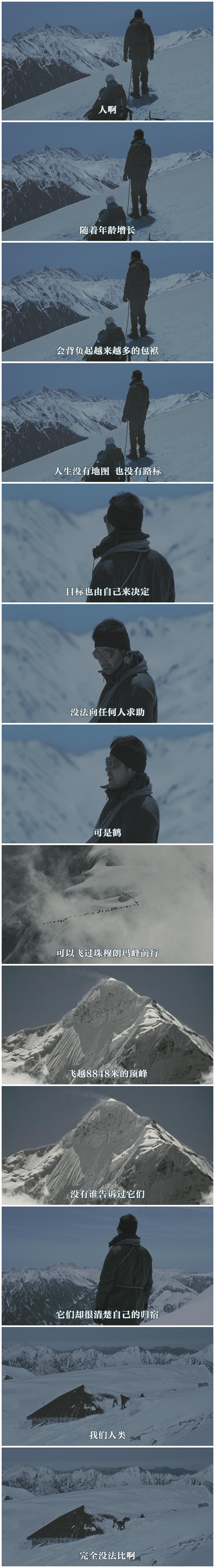 背负春天剧照的剧照