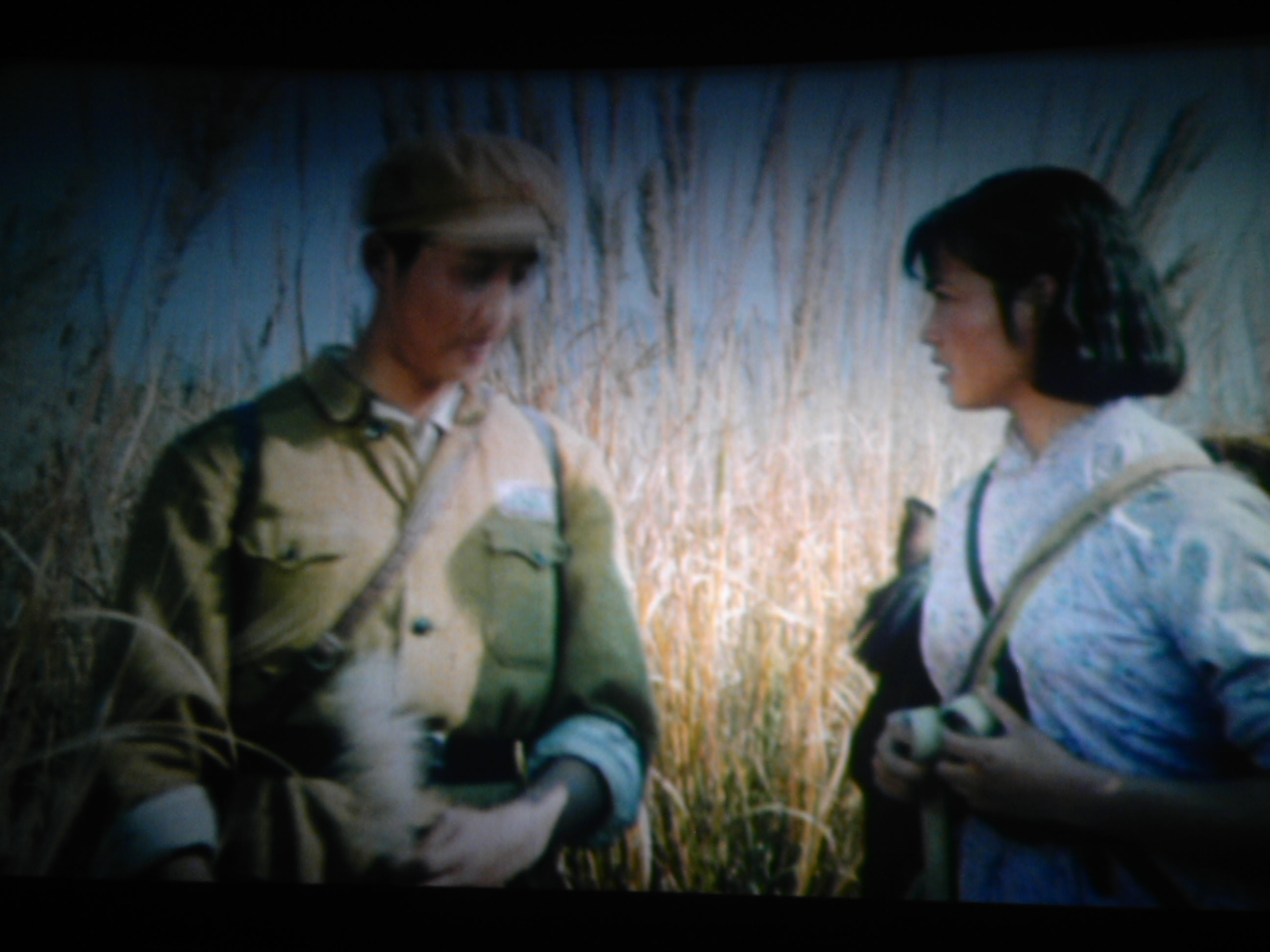 小花剧照的剧照