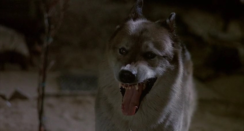 独行侠野狼剧照的剧照