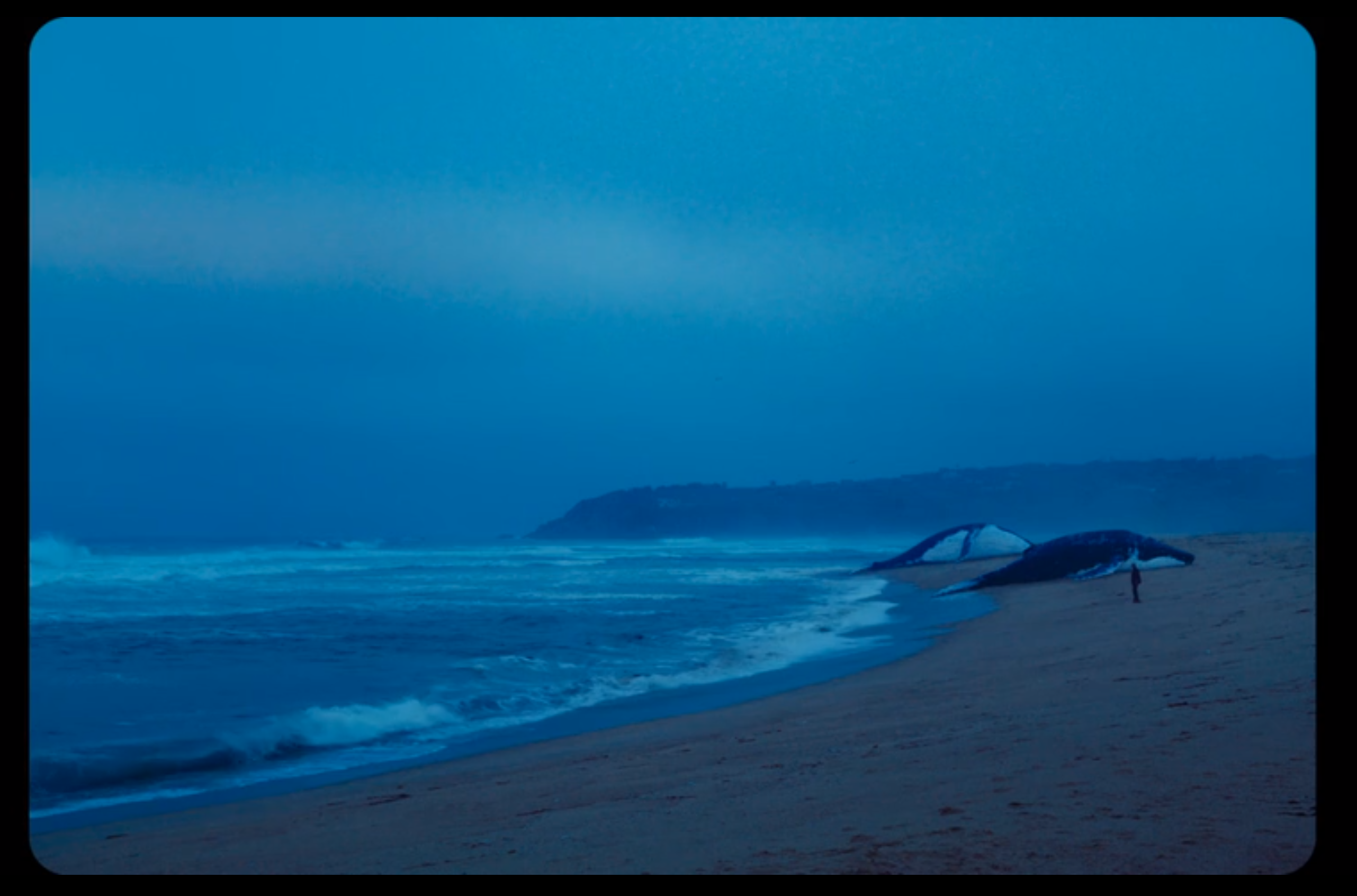 遗忘诗行剧照的剧照