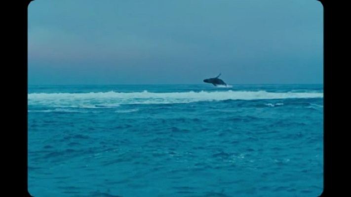 遗忘诗行剧照的剧照