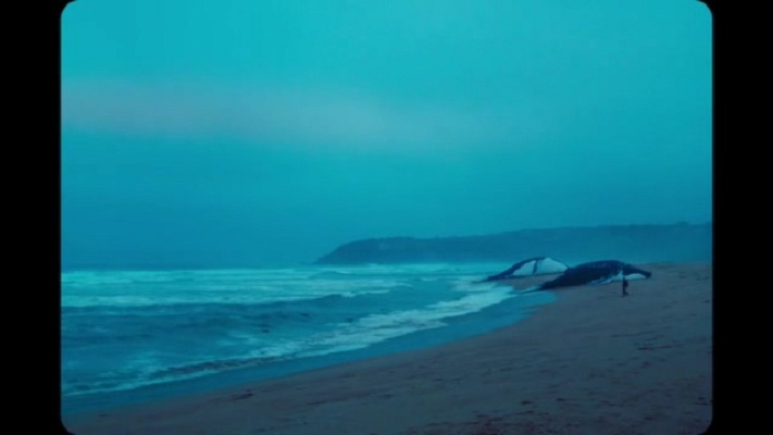 遗忘诗行剧照的剧照