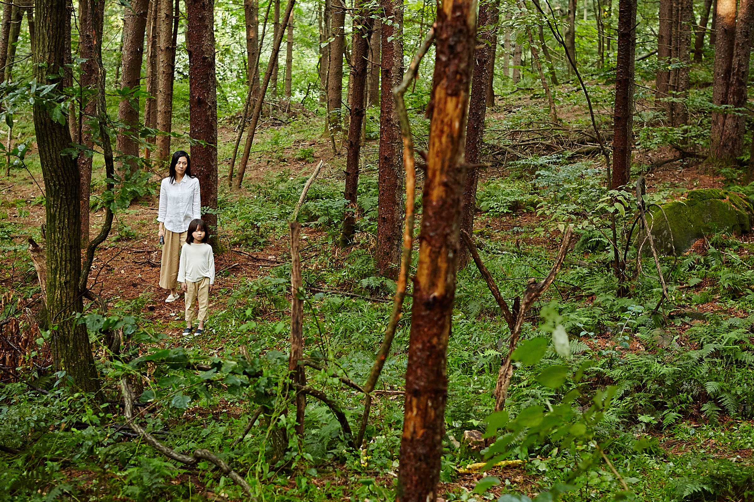 苌山虎剧照的剧照