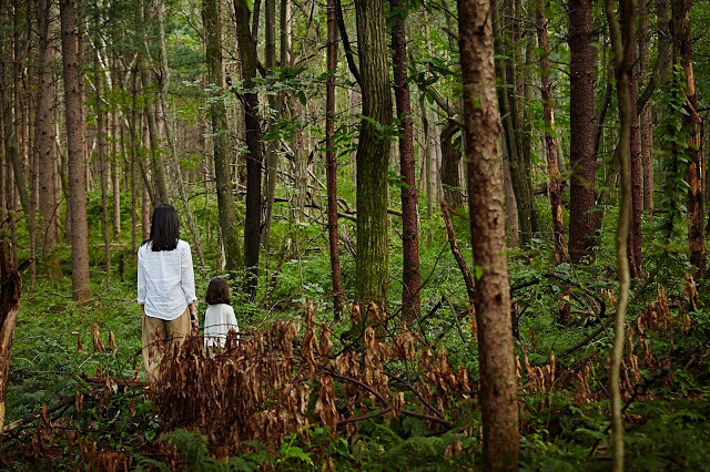 苌山虎剧照的剧照