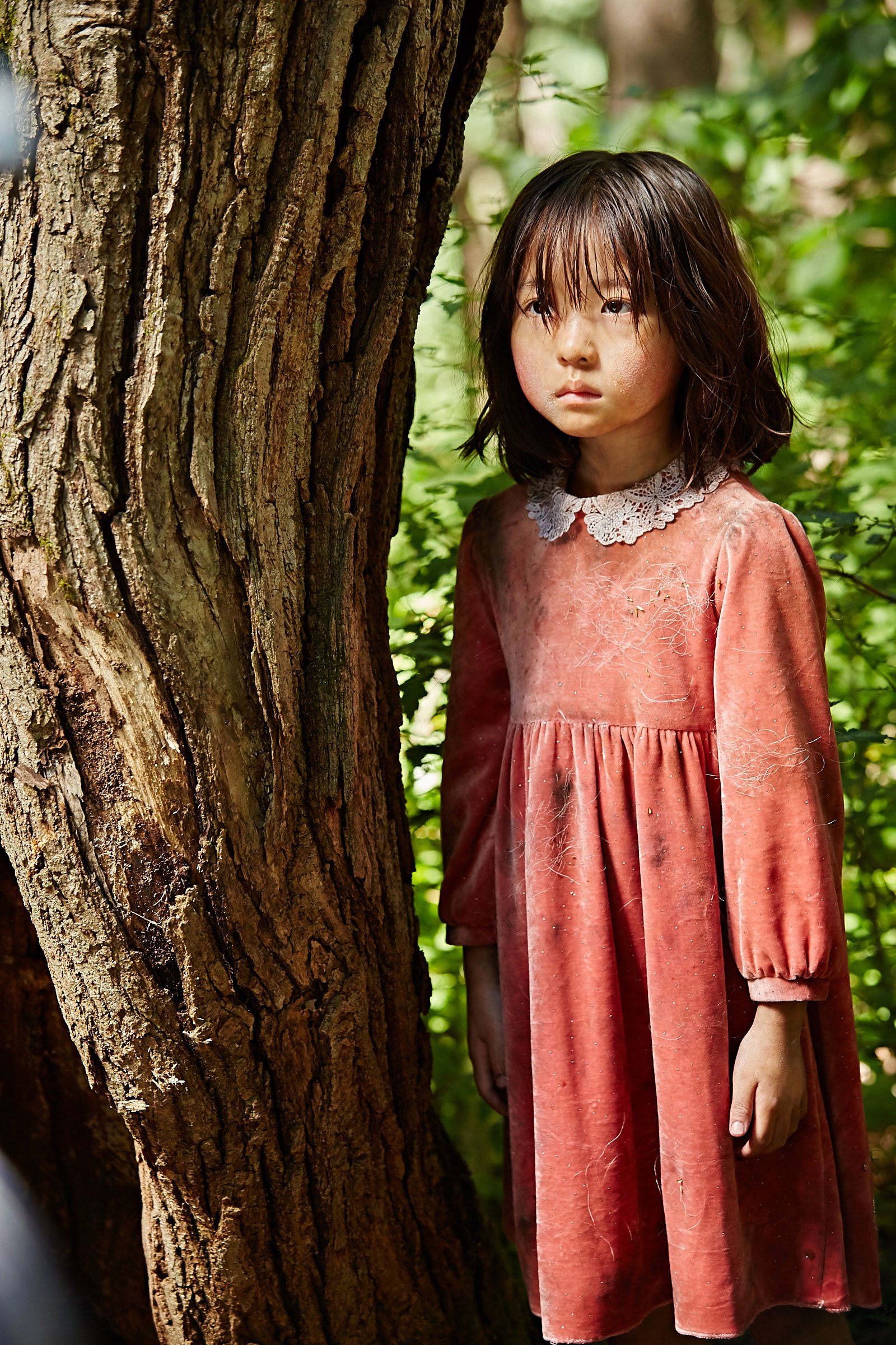 苌山虎剧照的剧照