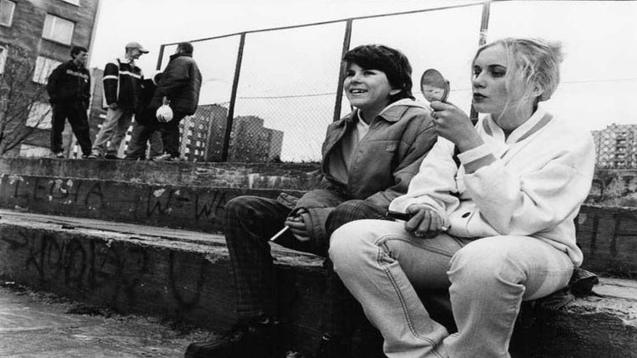 逆女泰瑞丝剧照的剧照