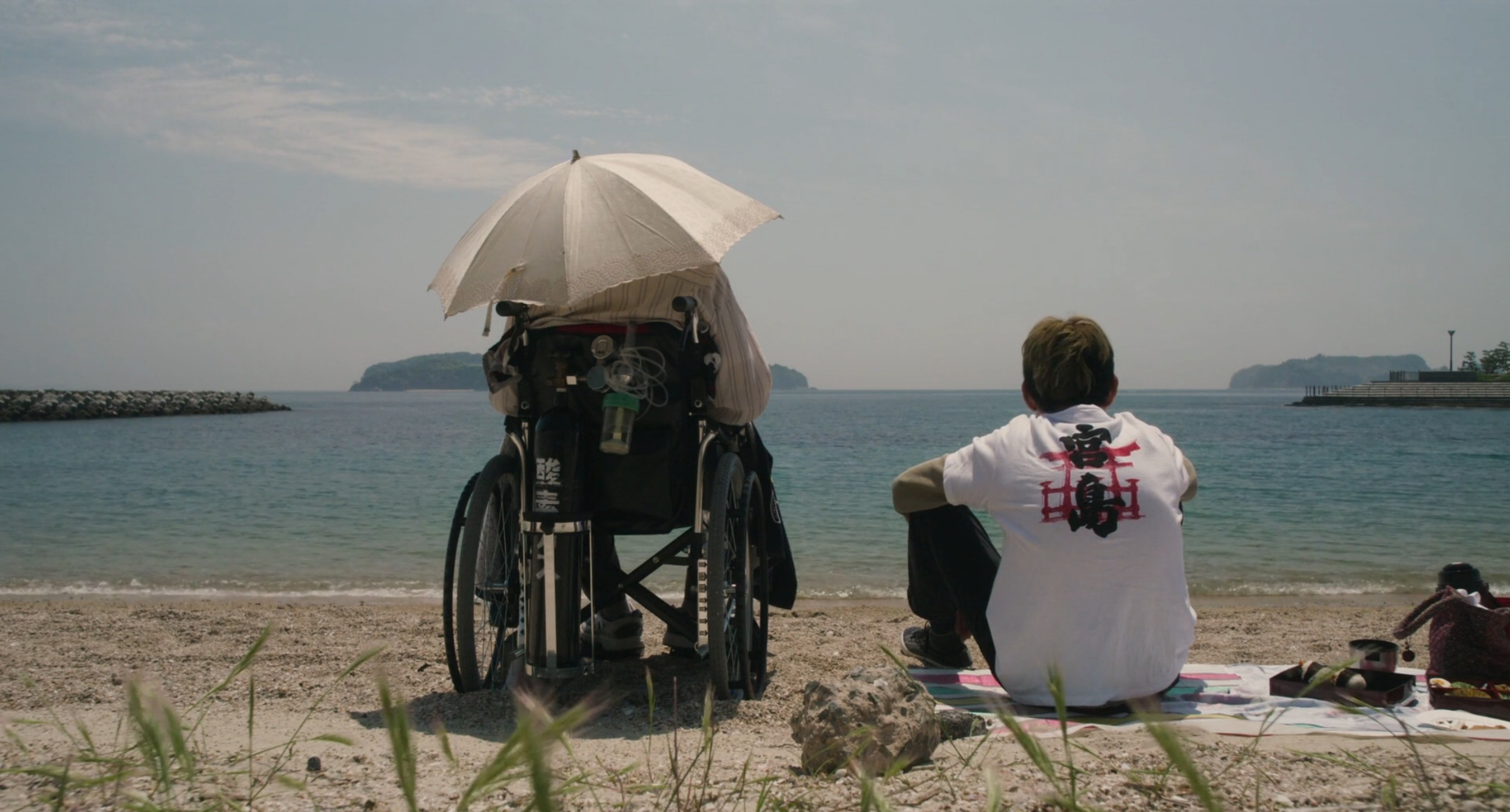 莫西干回到故乡剧照的剧照