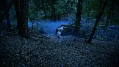 丛林怪物剧照的剧照